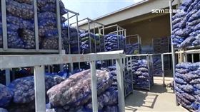 A曬蒜疊城.牆1800