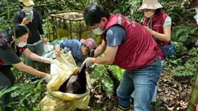 圖、文／鏡週刊