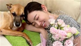 米可白。（圖／翻攝自米可白臉書）