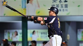 ▲許基宏距離生涯百轟只差一步。（圖／中信兄弟提供） 