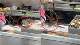 高雄光華夜市老鼠叼走透抽　店家曝網看傻