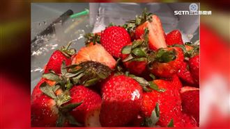 獨／台版HARBS賣霉蛋糕　員工爆超噁內幕