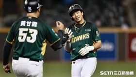 ▲中職36年例行賽，台鋼雄鷹右外野手紀慶然敲出安打。（圖／記者劉彥池攝影）