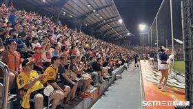 ▲台南棒球場湧入超過8千人。（圖／記者黃耿誼攝影）