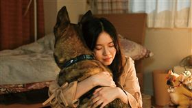 ▲西野七瀨演出援交少女，拍攝首日就挑戰高情緒戲。（圖／采昌國際多媒體提供） 