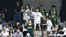 ▲中職36年例行賽，台鋼雄鷹韓籍啦啦隊員Mingo、安芝儇到客場應援。（圖／記者劉彥池攝影）