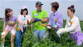 籃籃(左2)、楊繡惠(右起)跟阿翔體驗拔蘿蔔。（圖／民視提供）

