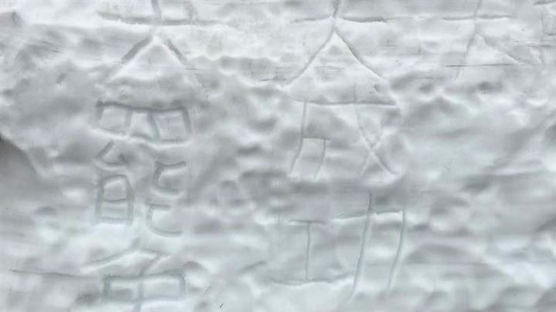 日雪景被寫大罷免成功　藍粉嗆丟臉卻糗了