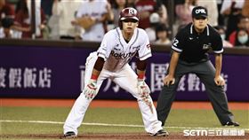 ▲中職36年例行賽，樂天桃猿指定打擊廖健富單場3安。（圖／記者劉彥池攝影）