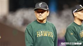 ▲中職36年例行賽，台鋼雄鷹總教練洪一中。（圖／記者劉彥池攝影）