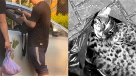 中驚見安眠藥抓狗集團，抓流浪狗，射殺石虎都受害，販賣狗肉，交易(圖／江和樹議員提供)