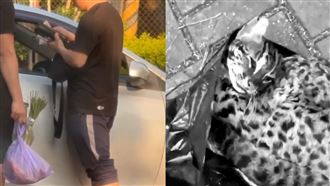 安眠藥抓狗「1斤肉賣1500」　連石虎也賣