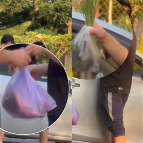 賣狗肉集團，交易，狗狗咳嗽，０看病，(圖／翻攝畫面)