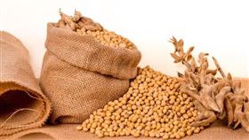 大豆（示意圖／圖取自Pixabay圖庫）