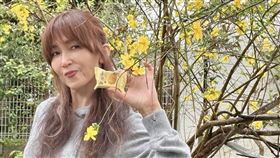 木村拓哉,工藤靜香,鳳梨酥(翻攝自 IG)