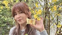工藤靜香56歲生日　木村拓哉罕見曬照放閃