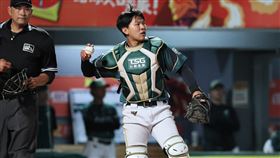 ▲台鋼雄鷹捕手吳柏萱手骨受傷。（圖／台鋼雄鷹提供） 