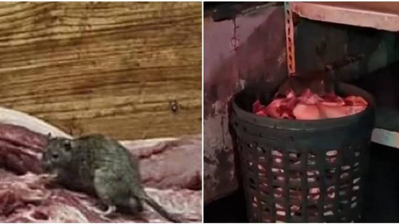菜市場肉攤驚見料理鼠王　網笑：主廚驗收