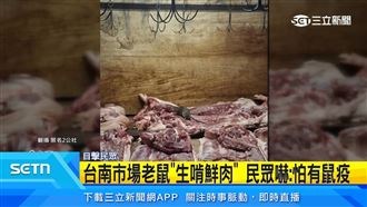 台南市場老鼠爬肉攤　衛生局出手了！