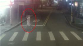 謝男案發前的最後身影。（圖／翻攝畫面）