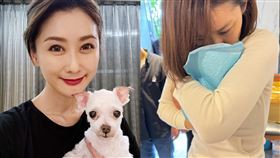 陳珮騏。（圖／翻攝自陳珮騏臉書）