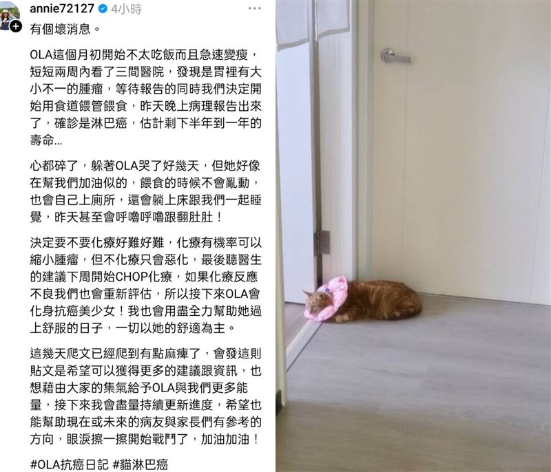 YTR魚乾曝光貓咪的病況。(圖/翻攝自魚乾Threads)