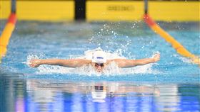 ▲臺灣師大「台灣蝶王」王冠閎在100公尺蝶式游出52秒13奪金。（圖／長榮大學114全大運執辦提供） 