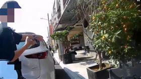 暴力,打臉,揮拳,遊客