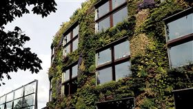 ▲ 90% 建築都是中小型，它們的低碳轉型潛力，才是全球氣候目標能否達成的關鍵。（圖／永續新聞網官網） 