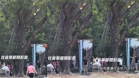 巧克力,狗,三民一分局,高雄