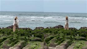 女遊客「硬闖老梅綠石槽」不聽勸。圖/爆料公社