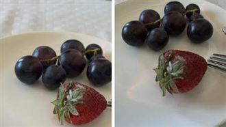 飛機餐驚發霉！他腹瀉一整天　長榮航道歉