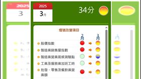 ▲國發會公布3月景氣燈號　持續黃紅燈！警示股市疲弱與消費放緩（圖／翻攝自國發會官網）