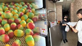 ▲台中佛心地瓜球。（圖／翻攝自阿部玖肆彩色地瓜球-台中沙鹿臉書、記者張雅筑攝）