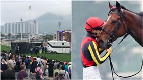 日本,馬后,自由島,Liberty Island,香港沙田馬場,女皇盃,安樂死,騎師,川田將雅（圖/賽馬娘Pretty Derby-官方玩家交流區臉書)