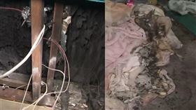 澳洲一名17歲少女在家中滑手機時，被閃電擊中，全身不停顫抖。（圖／翻攝自臉書／10 News First Queensland）