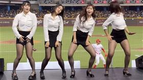 中職,味全龍,台北大巨蛋,中信兄弟,啦啦隊,小龍女,OL,窄裙,賴可(圖/hong_lagged Threads)
