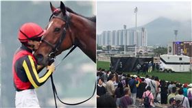 日本,自由島,Liberty Island,香港沙田馬場,女皇盃,安樂死,Ten Point（圖／翻攝自賽馬娘Pretty Derby-官方玩家交流區臉書）