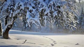 雪地（示意圖／Pixabay）