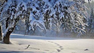 日研究發現寒冷時受精　出生後肥胖風險低