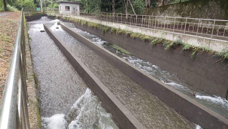 台中白毛山下驚見男浮屍！全身浮腫難辨認