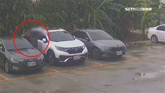 覬覦價值400萬金塊　詐團黑吃黑虐死車手