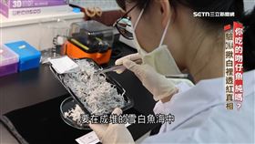 吻仔魚白裡透紅　DNA揪蝦蟹河豚　過敏者注意