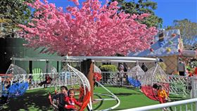 西湖渡假村「夢幻桐花祭」日賞桐夜賞螢！12歲以下兒童享免費優惠（業配勿用）