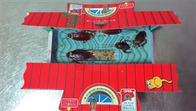 可選擇天然誘劑成分的黏蟑屋，物理性捕蟑。（圖／486團購提供） 