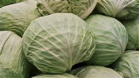 高麗菜,蔬菜(圖/pixabay)