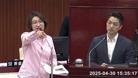 林延鳳質詢蔣萬安世壯運（圖／翻攝畫面）