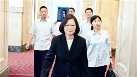 蔡英文。（圖／海鵬影業提供）