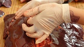 豬腸、豬肝、豬內臟 示意圖／pexels