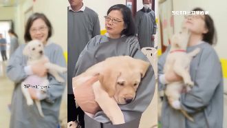 導盲犬「秋雅」倒入懷　蔡英文笑：喝醉啦